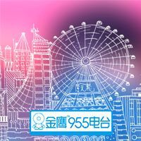 湖南金鹰955电台 LOGO