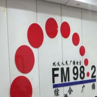 FM98.2巩义新闻广播 LOGO