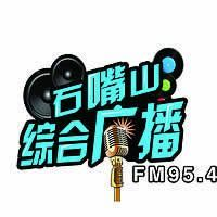 石嘴山综合广播 LOGO